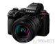 Фотоаппарат Panasonic Lumix S5 II Kit 20-60mm фото 1