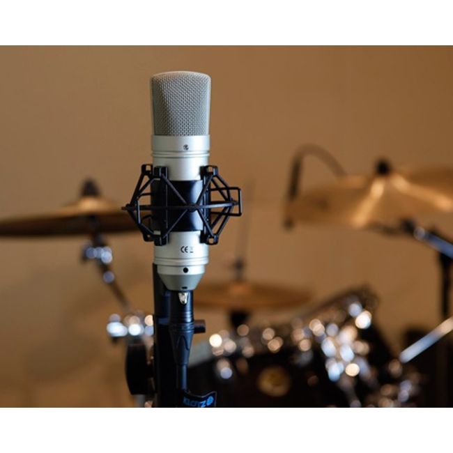 Tascam TM-80 - студійний мікрофон для вокалу купити в tv-project.com