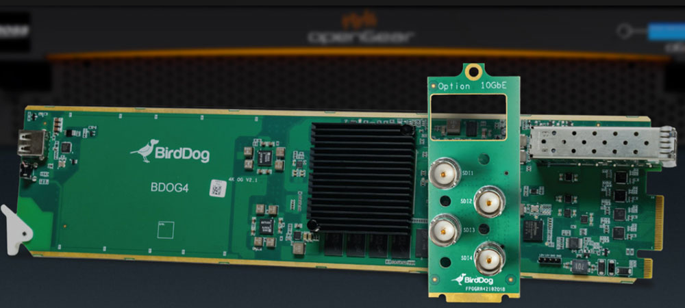 Плата кодирования-декодирования BirdDog OpenGear 4 Channel NDI фото в описание 1