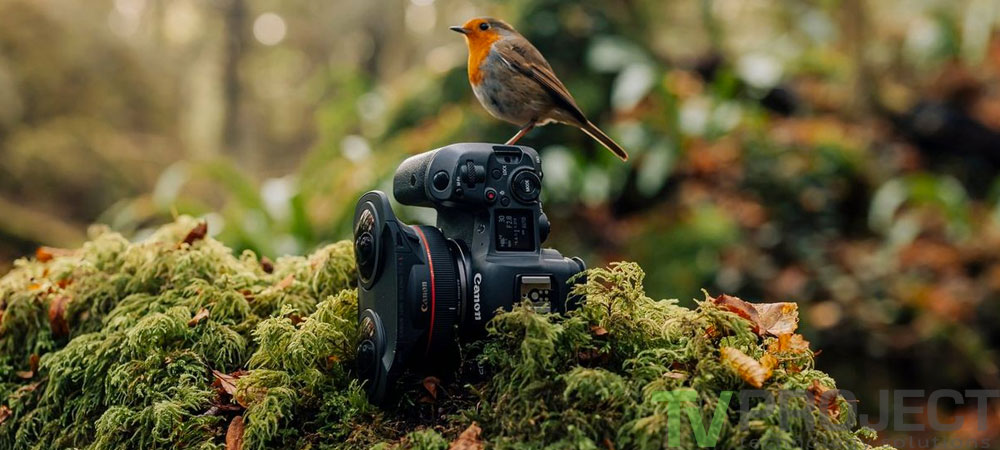 Сверхширокоугольный объектив Canon RF 5.2mm f/2.8 L Dual Fisheye фото в описание 1